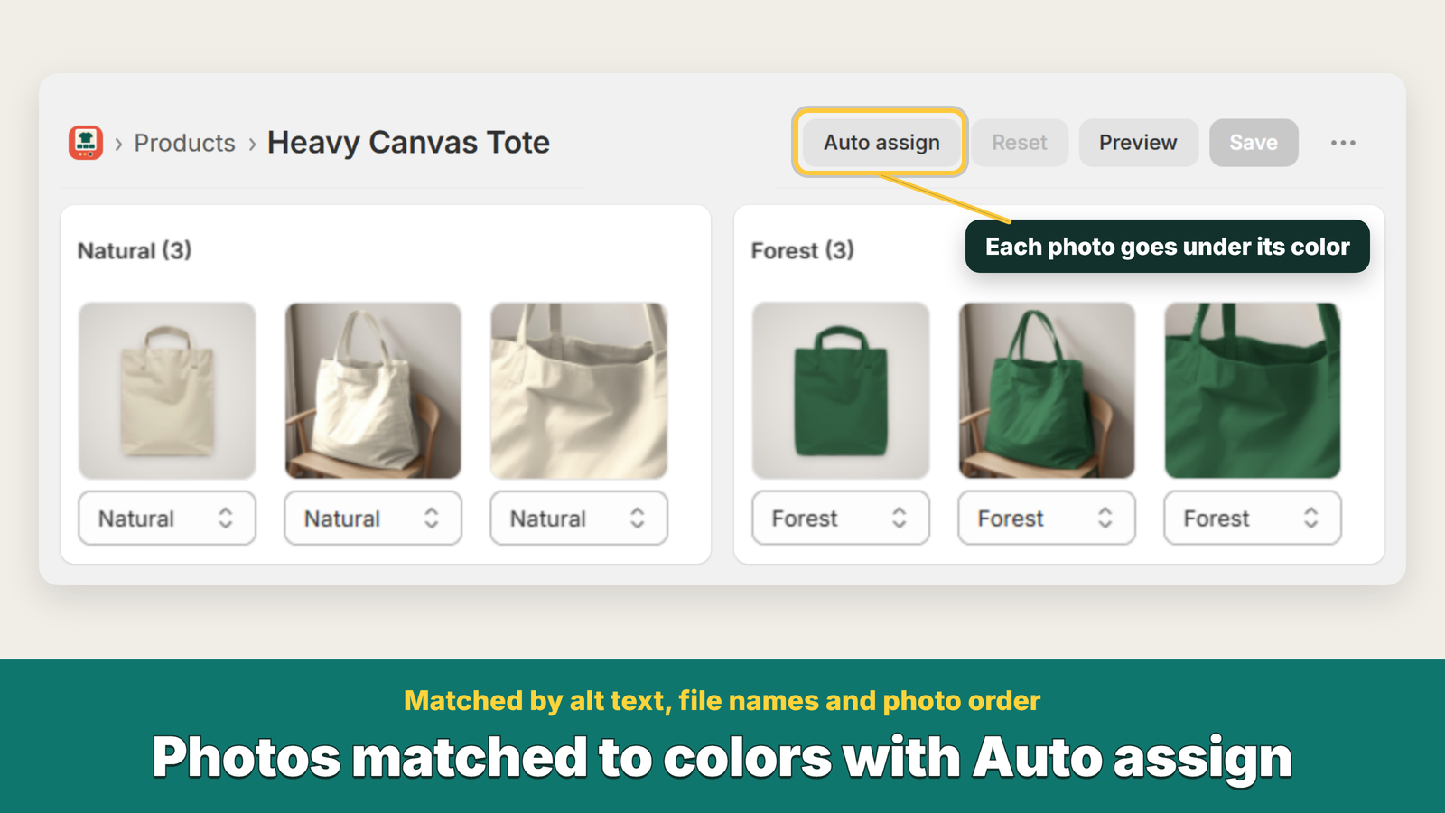 App screen with Auto assign and photos grouped under each color